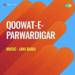 Qoowat E Parwardigar - Jani Babu Qawwal Song Download
